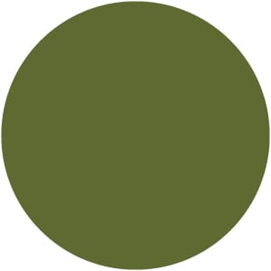 Fornasarig | Wolfgang 50X Sled Chair Olive Green NCS 5540-G50Y