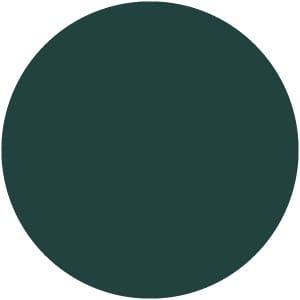 Fornasarig | Wolfgang 50X Sled Chair BRG Green  RAL 180 20 15