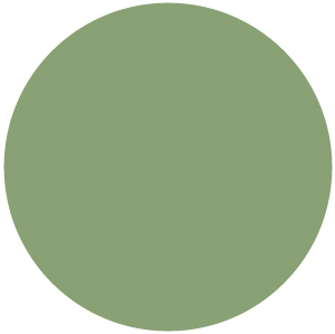 Fornasarig | Cato 40X Sled Stackable Chair Green